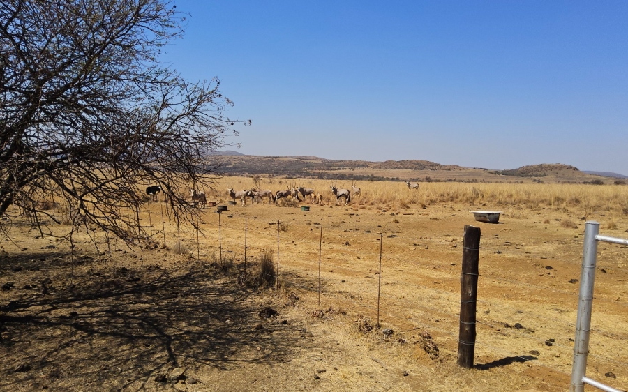 3 Bedroom Property for Sale in Potchefstroom Rural North West